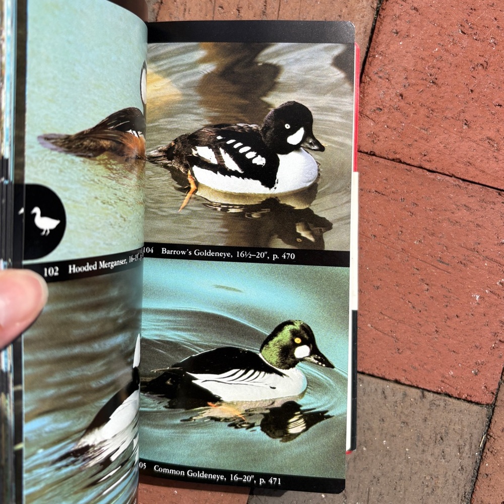 1989 The Audubon Society Field Guide to North American Birds Western Region Bird - Picture 2 of 9